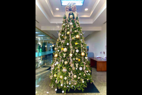 Clarksville City Hall Christmas Tree