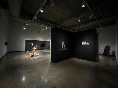 "mere mortals" is open through February 11 at Austin Peay State University's The New Gallery. (APSU)