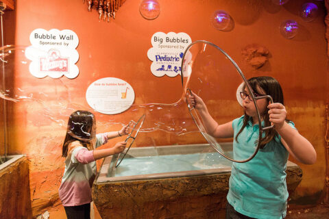 Customs House Museum and Cultural Center's Explorers Landing 