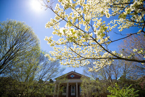 Austin Peay State University Campus. (APSU)