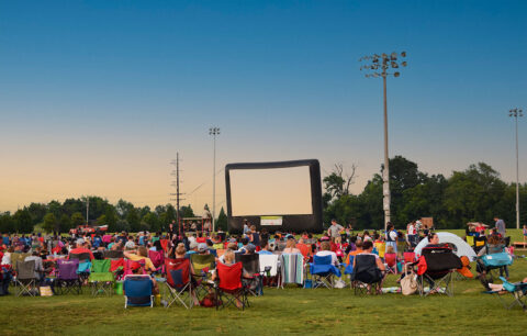 Movies in the Park 