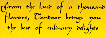 Custom Catering Services at Tandoor Indian Restaurant