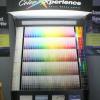 Vivid Colors