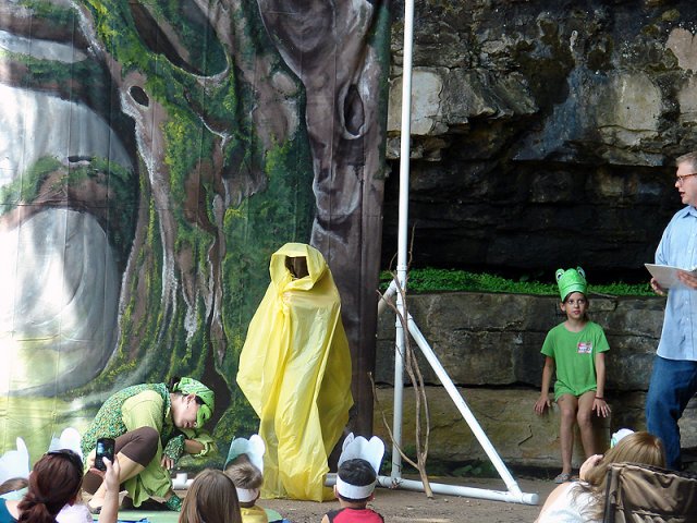 The Caterpillar and the Frog