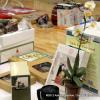 Brady Conatser's Fundraiser Auction
